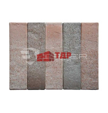 Кирпич BRAER BRAER MAX дакар терра 250x120x65