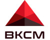 ВКСМ (Воронежский комбинат строительных материалов)